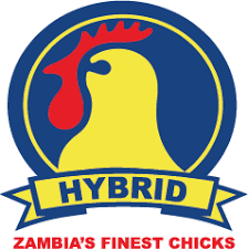 Hybrid Zambia